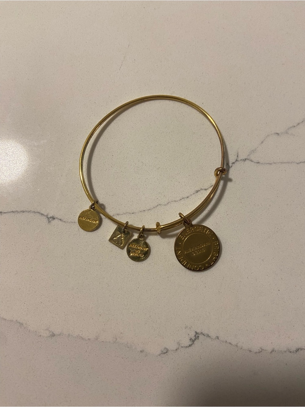 Alex and Ani Gold Charm Bangle